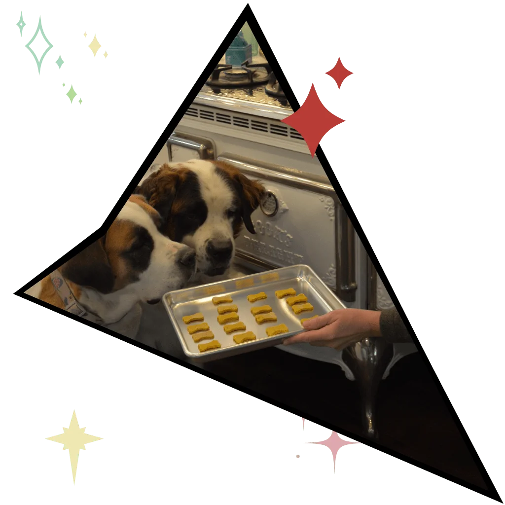 winston and faith looking at some freshly made dog treats on a kitchen oven pan inside the kitchen
