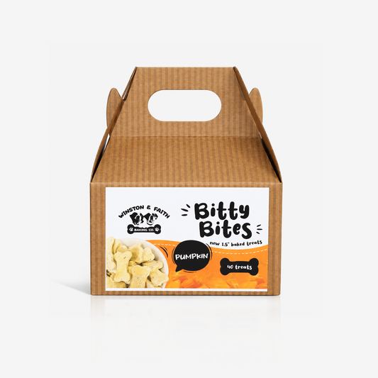 Pumpkin Bitty Bites
