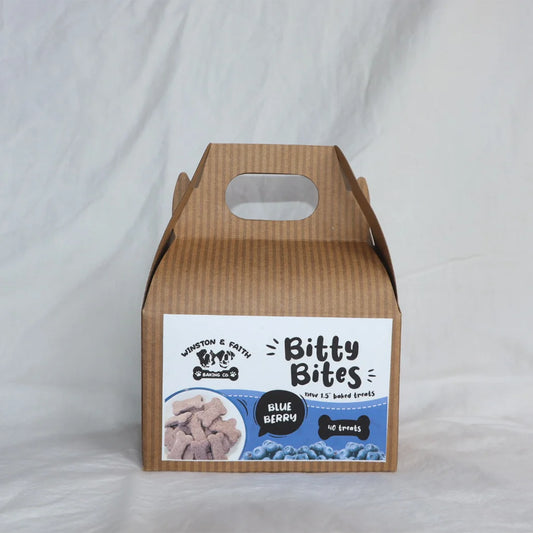 Blueberry Bitty Bites