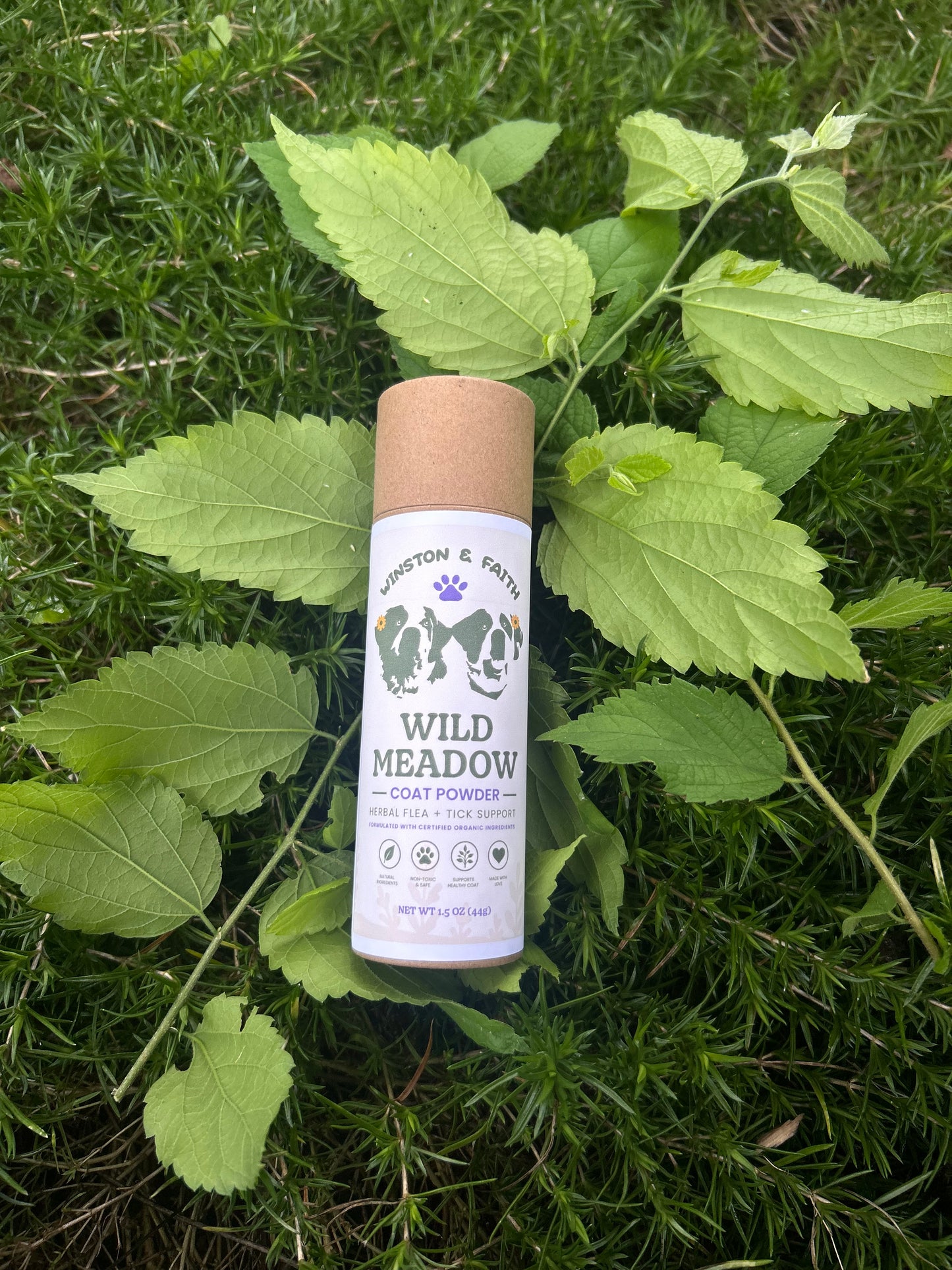 Wild Meadow Coat Powder